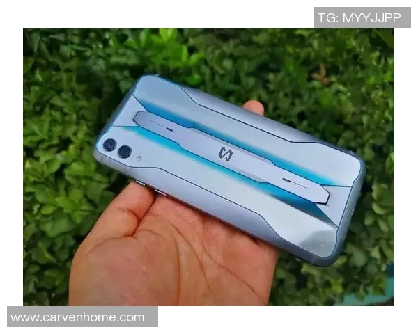 周磊畅谈CSGO职业生涯与游戏发展历程的深度回顾