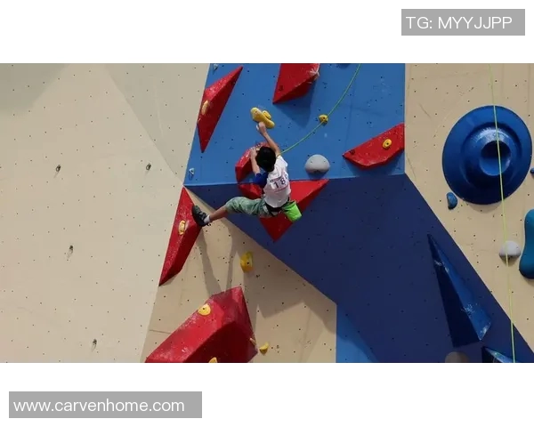 攀岩战术排行榜揭晓上海攀岩队荣登榜首引发热议 攀岩战术排行榜揭晓上海攀岩队荣登榜首引发热议