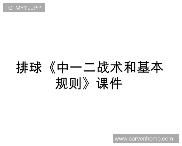 深入分析西安排球队的控制打法及其战术精髓与应用