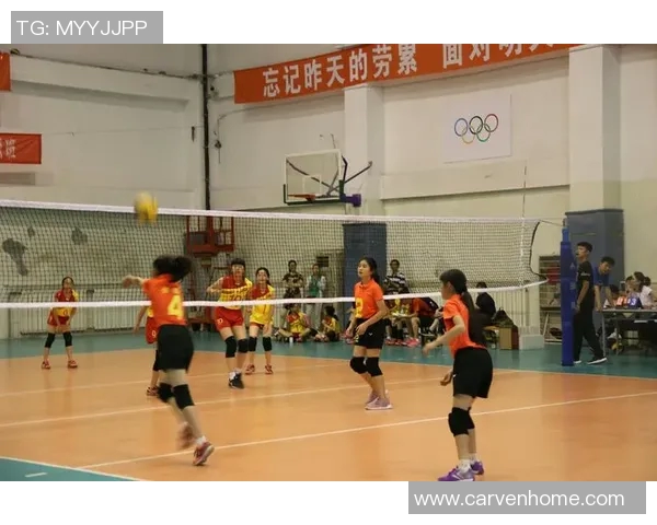 刘强专访：从排球少年到职业生涯的心路历程与成长反思