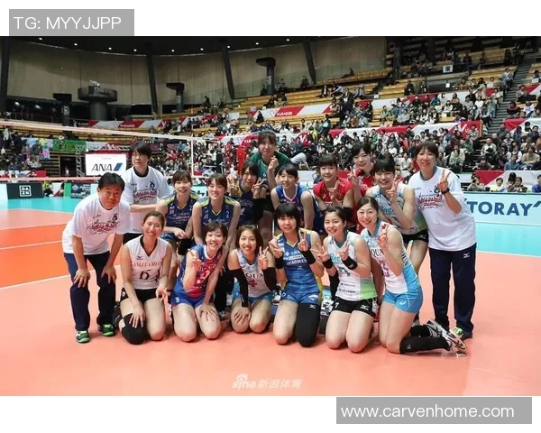 对话刘静：回顾她的排球生涯与奋斗历程的精彩瞬间