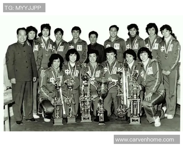 上海排球队在世界杯预选赛中的拼搏历程与荣耀时刻回顾