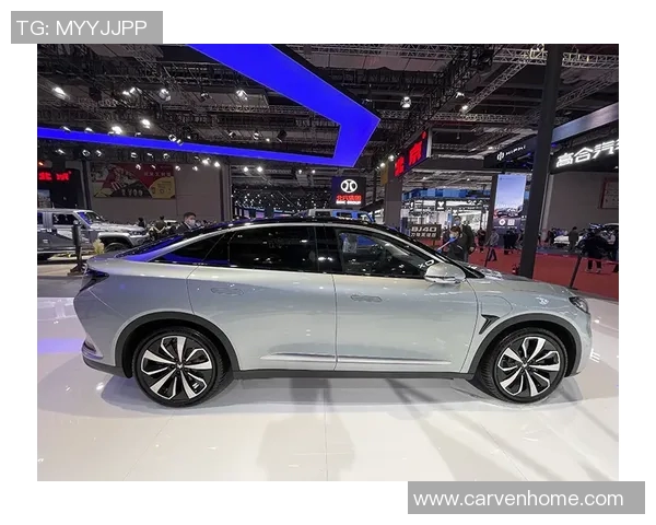 上海网球队的辉煌崛起与杯赛征程的背后故事 上海网球队的辉煌崛起与杯赛征程的背后故事