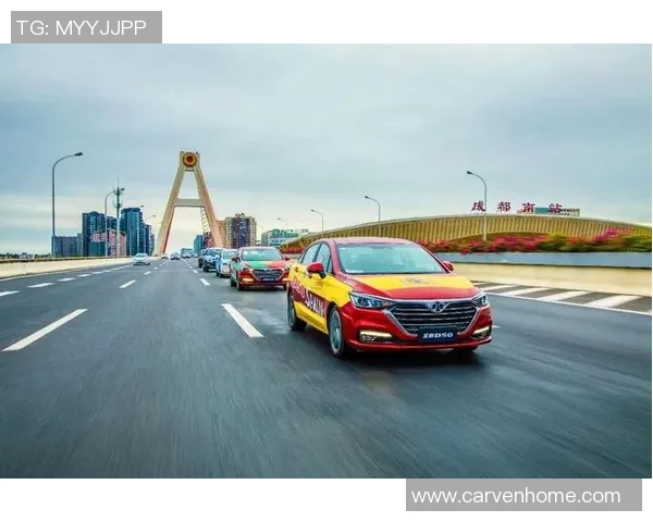 成都排球队速度之争引发热议球迷与专家观点碰撞解析