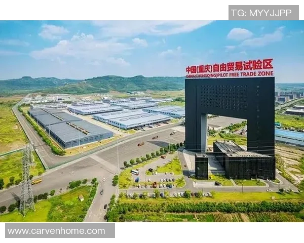 重庆篮球队的蜕变与崛起全国锦标赛特别报道探寻背后的故事与未来展望