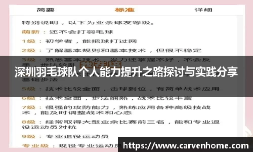 深圳羽毛球队个人能力提升之路探讨与实践分享
